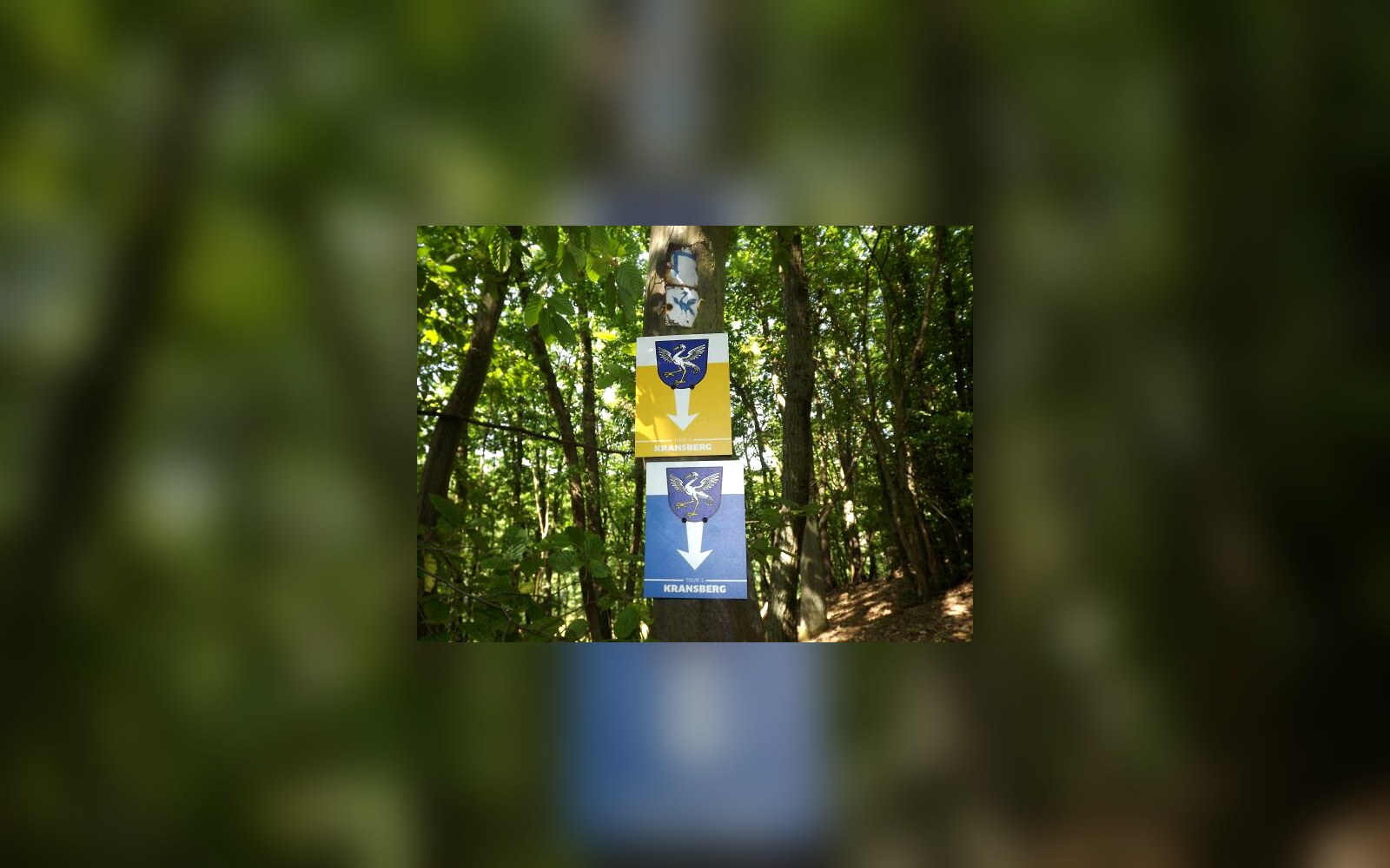 Circular walks around Kransberg