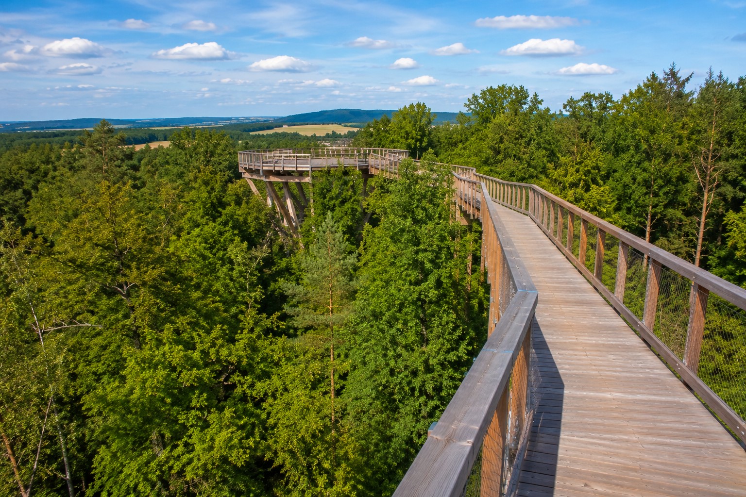 Bad Camberg Treetop Walk