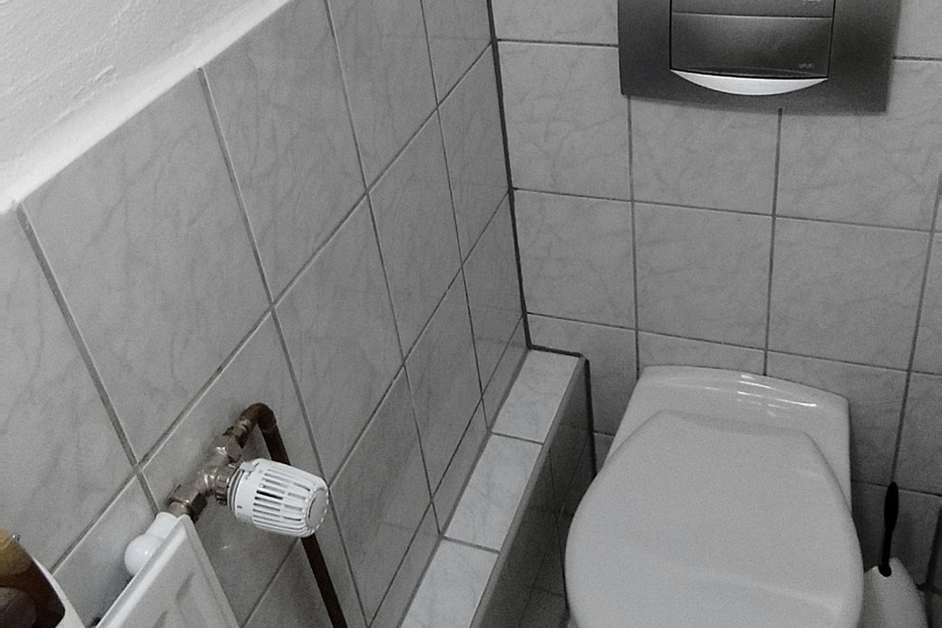 Separates WC im Apartment Hintertaunus