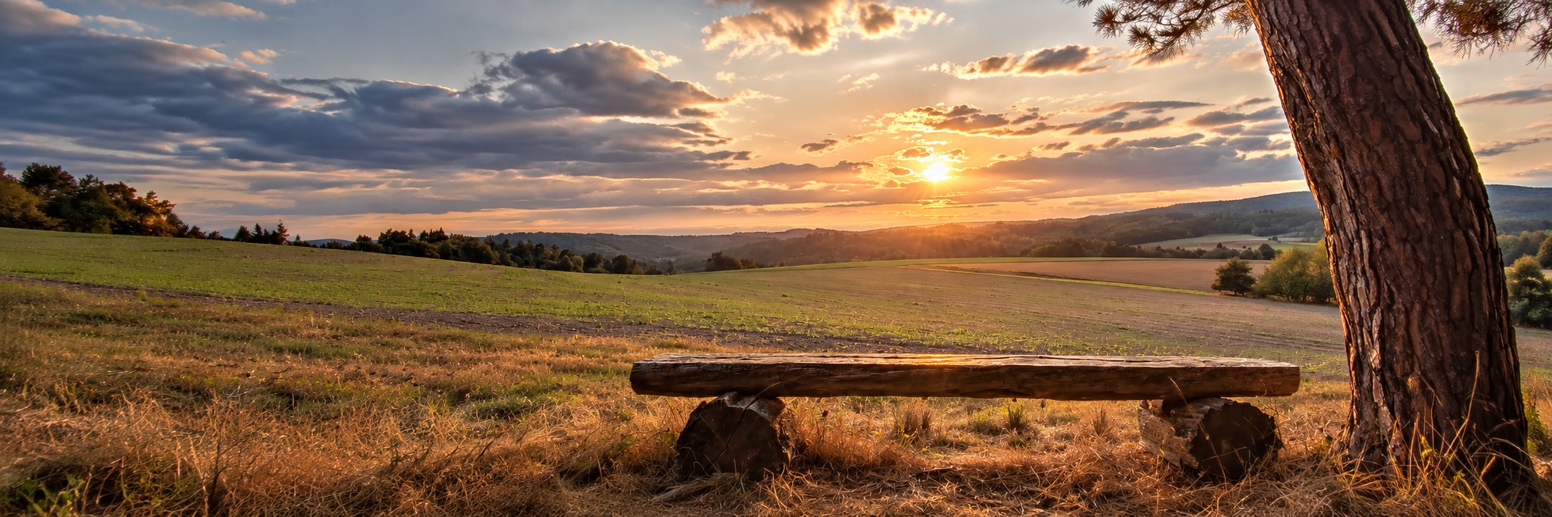 Aussicht über die Taunuslandschaft bei Kransberg mit Sitzbank im Abendlicht